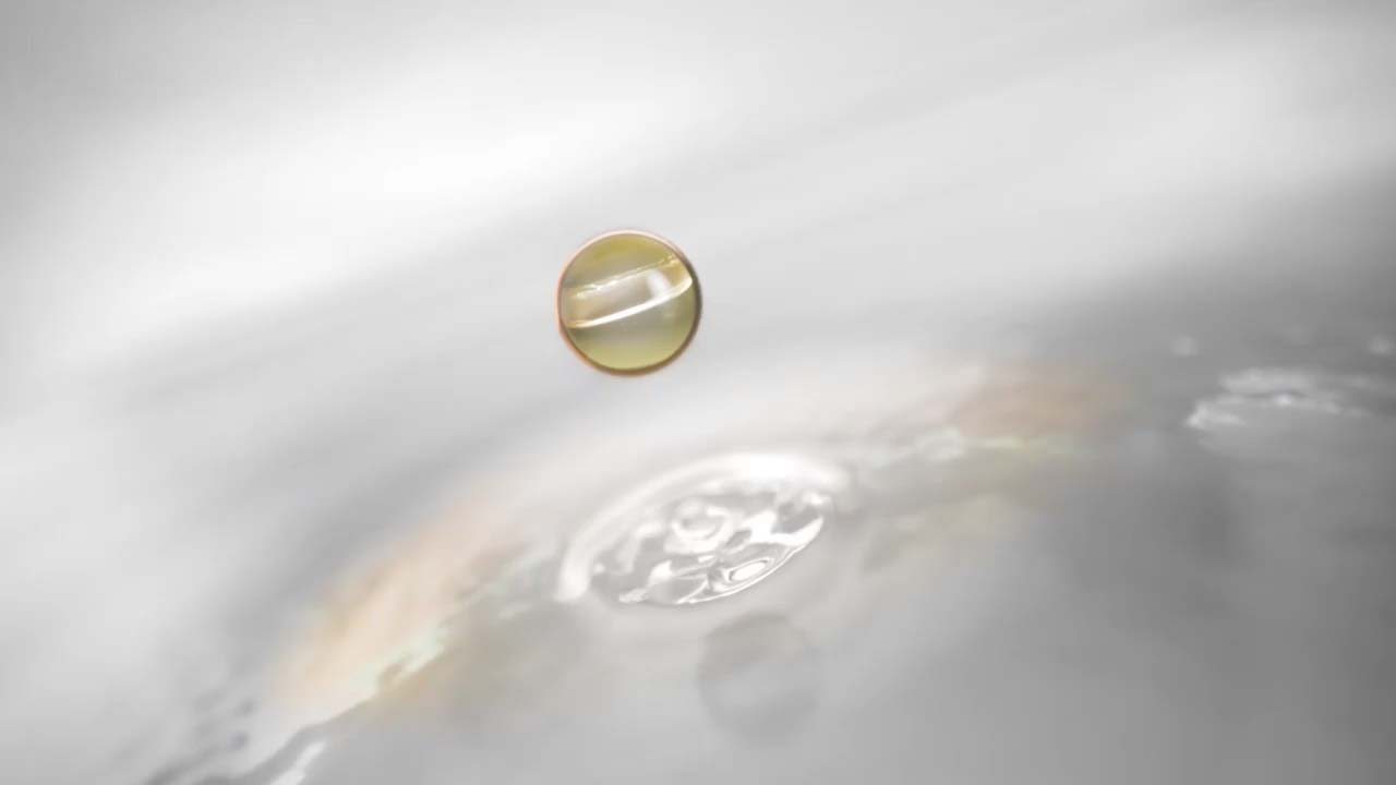 Renewable Energy Group: Endura