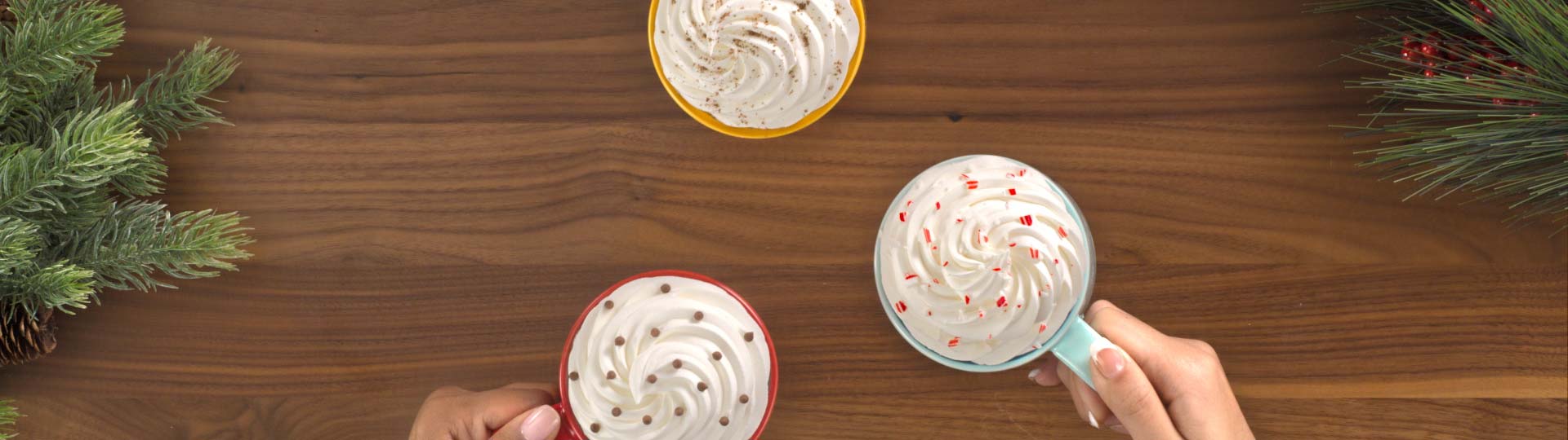 Caribou_HolidaySocial_Header