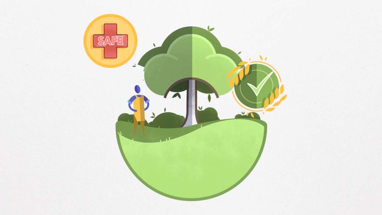 Pipeline Food: Company Story