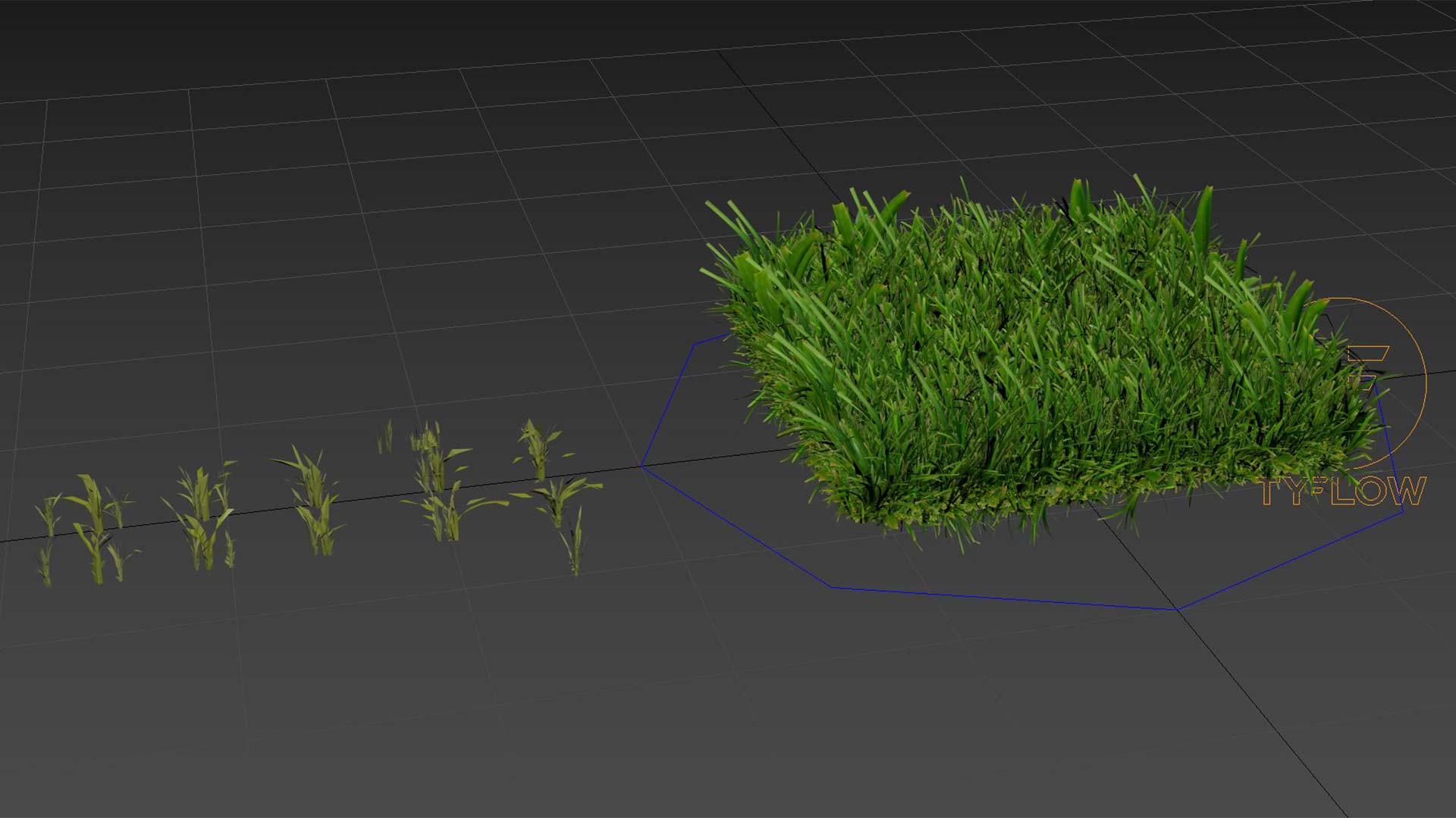 grass