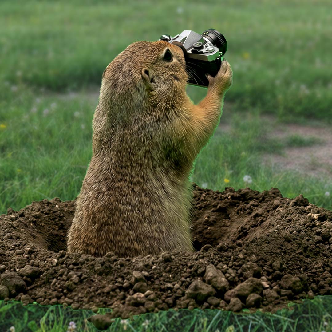 Gopherazzi_32